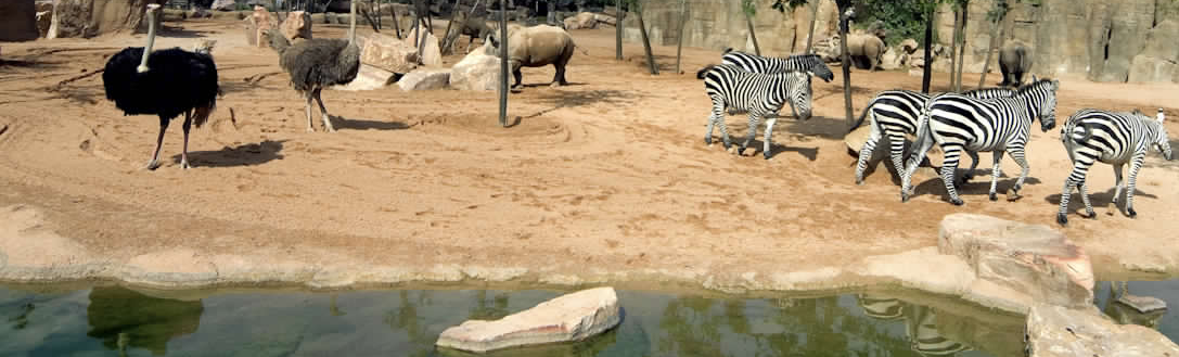 Realizzazione Bioparco a Milano